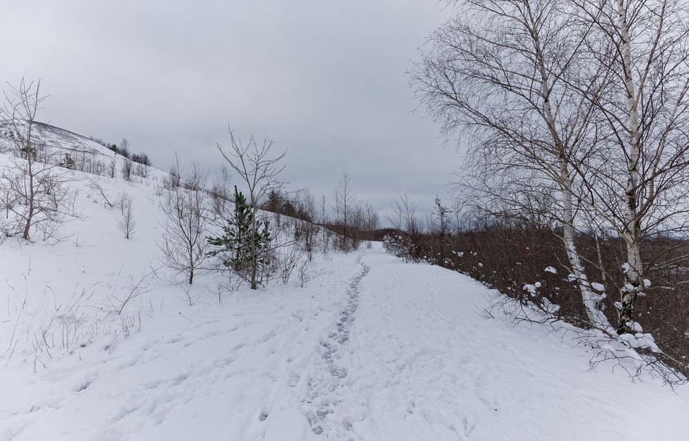 Haldenmotive, hier: auf dem Weg zum Plateau der Halde Göttelborn (8)