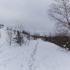 Haldenmotive, hier: auf dem Weg zum Plateau der Halde Göttelborn (8)