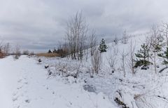 Haldenmotive, hier: auf dem Weg zum Plateau der Halde Göttelborn (9)