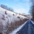 Haldenmotive, hier: Auf dem Weg zum Plateau der Halde Lydia Camphausen (Saarland) (2)