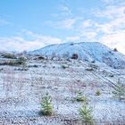 Haldenmotive, hier: auf dem Weg zum Plateau der Halde Lydia Camphausen (Saarland)  (4)