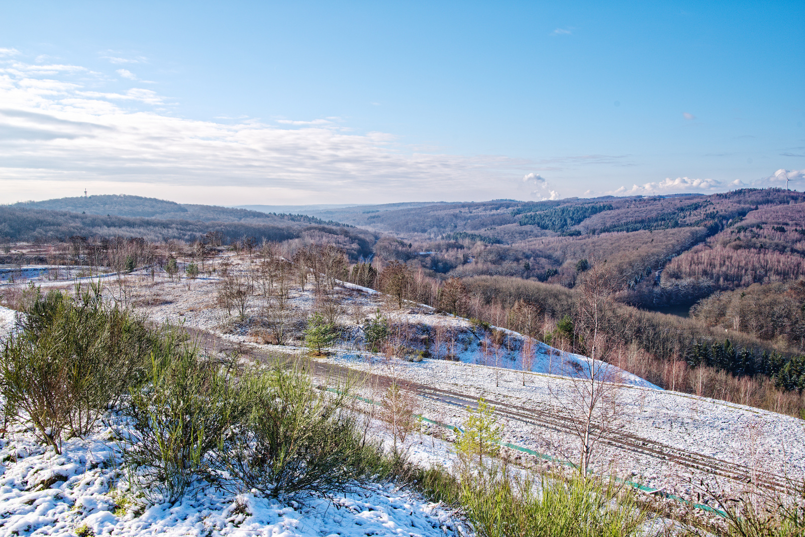 Haldenmotive, hier: Auf dem Weg zum Plateau der Halde Lydia Camphausen (Saarland)  (5)