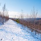 Haldenmotive, hier: auf dem Weg zum Plateau der Halde Lydia Camphausen (Saarland)  (6)