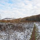 Haldenmotive, hier: auf dem Weg zum Plateau der Halde Lydia Camphausen (Saarland)