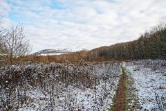 Haldenmotive, hier: auf dem Weg zum Plateau der Halde Lydia Camphausen (Saarland)