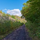 Haldenmotive, hier: Aufstieg zum Plateau der Halde Lydia Camphausen (Saarland)