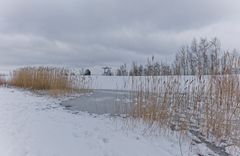 Haldenmotive, hier: Biotop auf dem Plateau der Halde Göttelborn