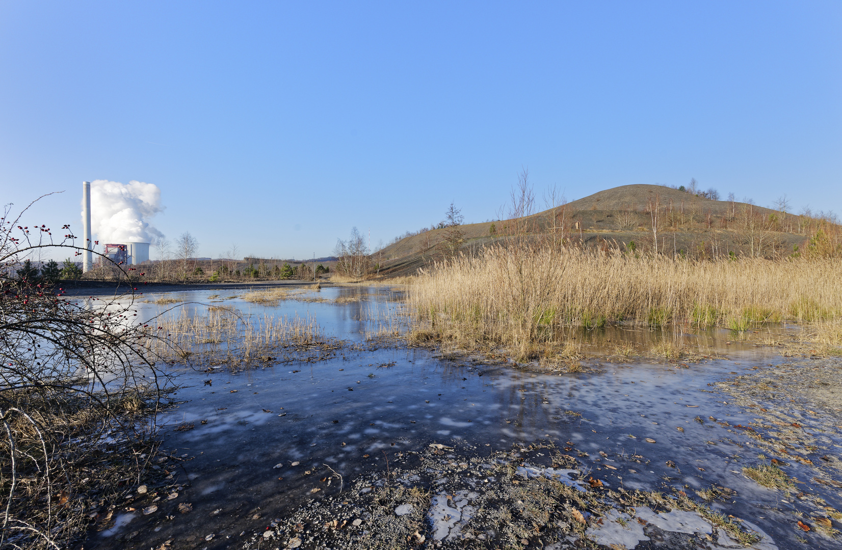 Haldenmotive, hier: Biotop auf der Bergehalde Göttelborn/Saar (3)