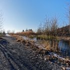 Haldenmotive, hier: Biotop auf der Bergehalde Göttelborn/Saar