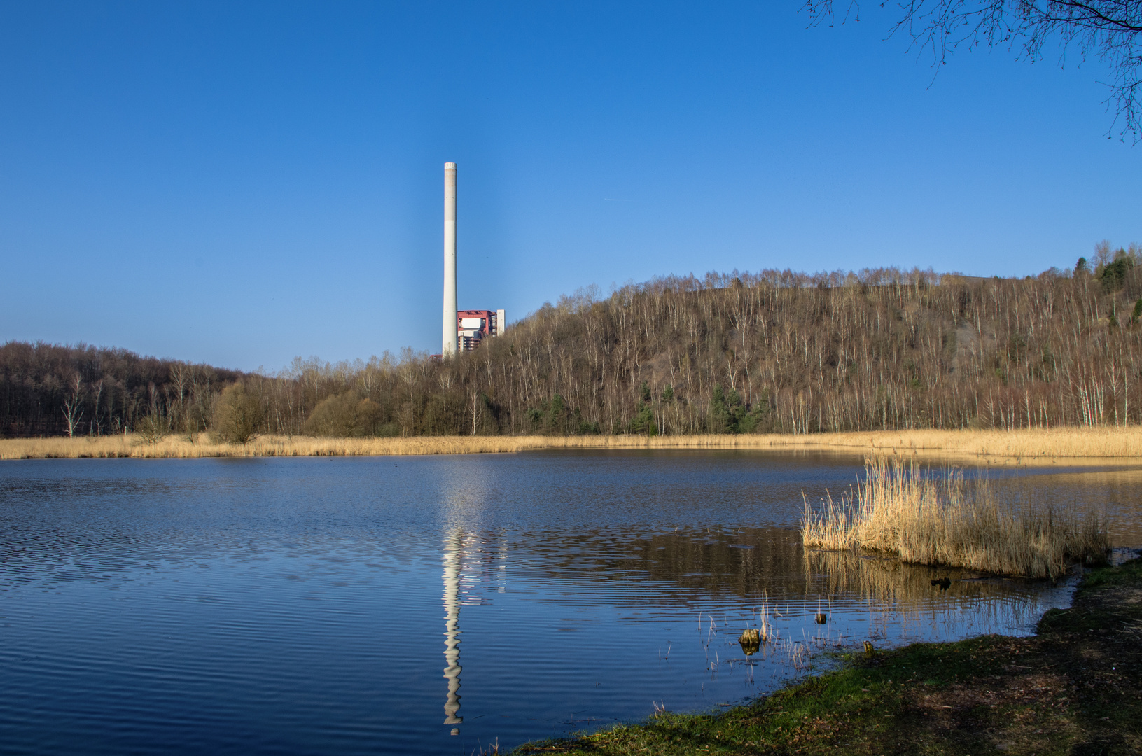 Haldenmotive, hier: Frühjahr am Kohlbachweiher auf der Halde Göttelborn