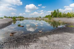 Haldenmotive, hier: Frühling auf dem Plateau der Halde Göttelborn