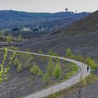 Haldenmotive, hier: Frühling auf den kargen Haldenabhängen