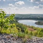 Haldenmotive, hier: Frühlingbeginn am Kohlbachweiher auf der Halde Göttelborn