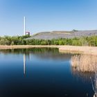 Haldenmotive, hier: Frühlingsbeginn am Ufer des Kohlbachweihers auf der Halde Göttelborn/Saar