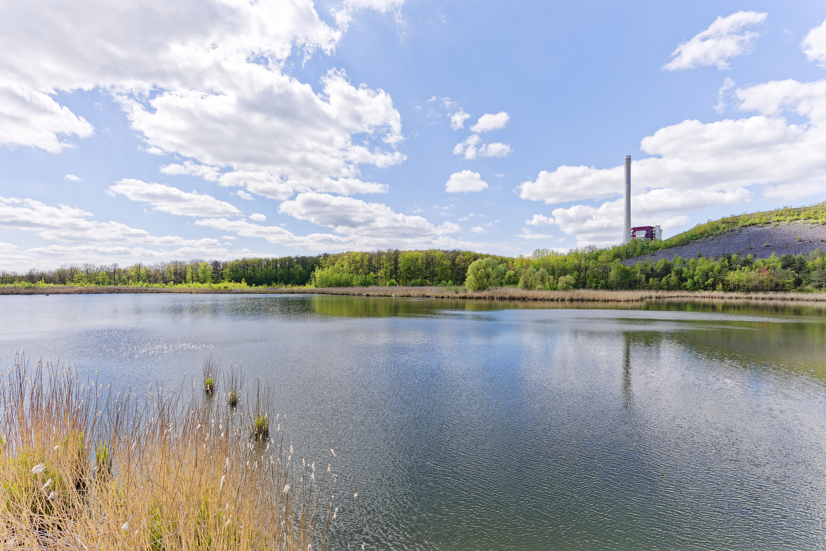 Haldenmotive, hier: Frühlingserwachen am Kohlbachweiher