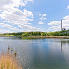 Haldenmotive, hier: Frühlingserwachen am Kohlbachweiher