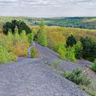 Haldenmotive, hier: Frühlingserwachen auf der Halde Göttelborn (Saarland) (5)