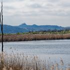 Haldenmotive, hier: Frühlingsstart am Kohlbachweiher (2)