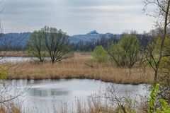 Haldenmotive, hier: Frühlingsstart am Kohlbachweiher (3)