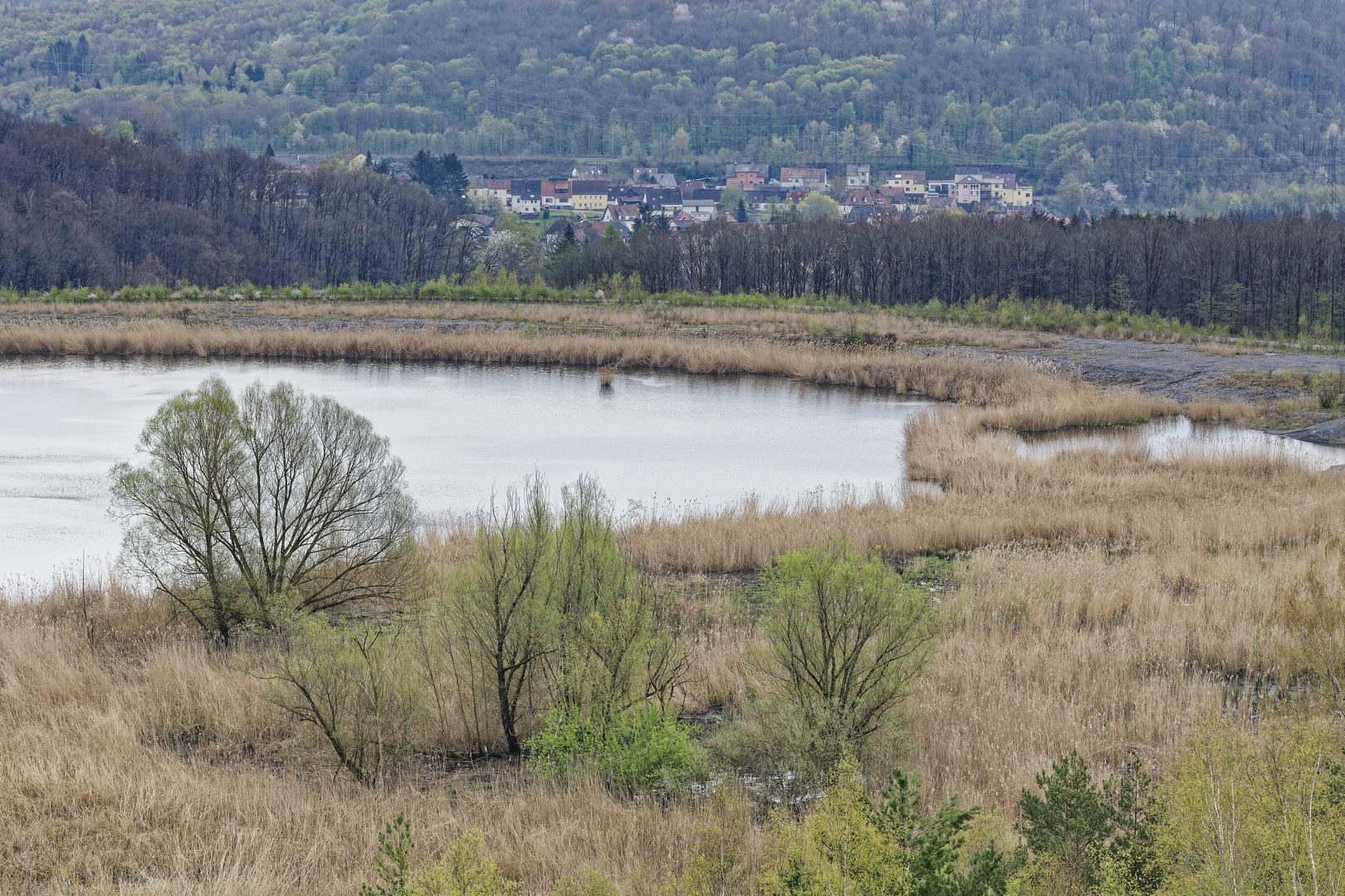 Haldenmotive, hier: Frühlingsstart am Kohlbachweiher (5)