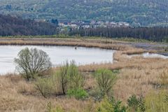 Haldenmotive, hier: Frühlingsstart am Kohlbachweiher (5)