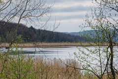 Haldenmotive, hier: Frühlingsstart am Kohlbachweiher (6)