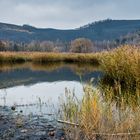 Haldenmotive, hier: Herbst am Ufer des Kohlbachweihers auf der Halde Göttelborn/Saar