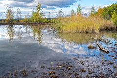 Haldenmotive, hier: Herbst auf dem Plateau der Halde Lydia Camphausen (Saarland)