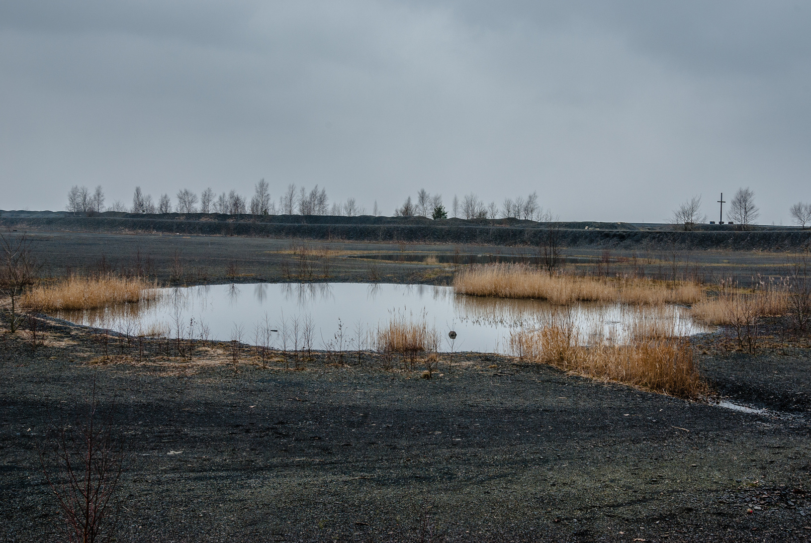 Haldenmotive, hier: Herbst auf der Halde Lydia Camphausen