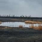 Haldenmotive, hier: Herbst auf der Halde Lydia Camphausen