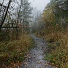 Haldenmotive, hier: Herbstimpressionen auf dem Haldenpfad