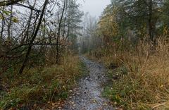 Haldenmotive, hier: Herbstimpressionen auf dem Haldenpfad