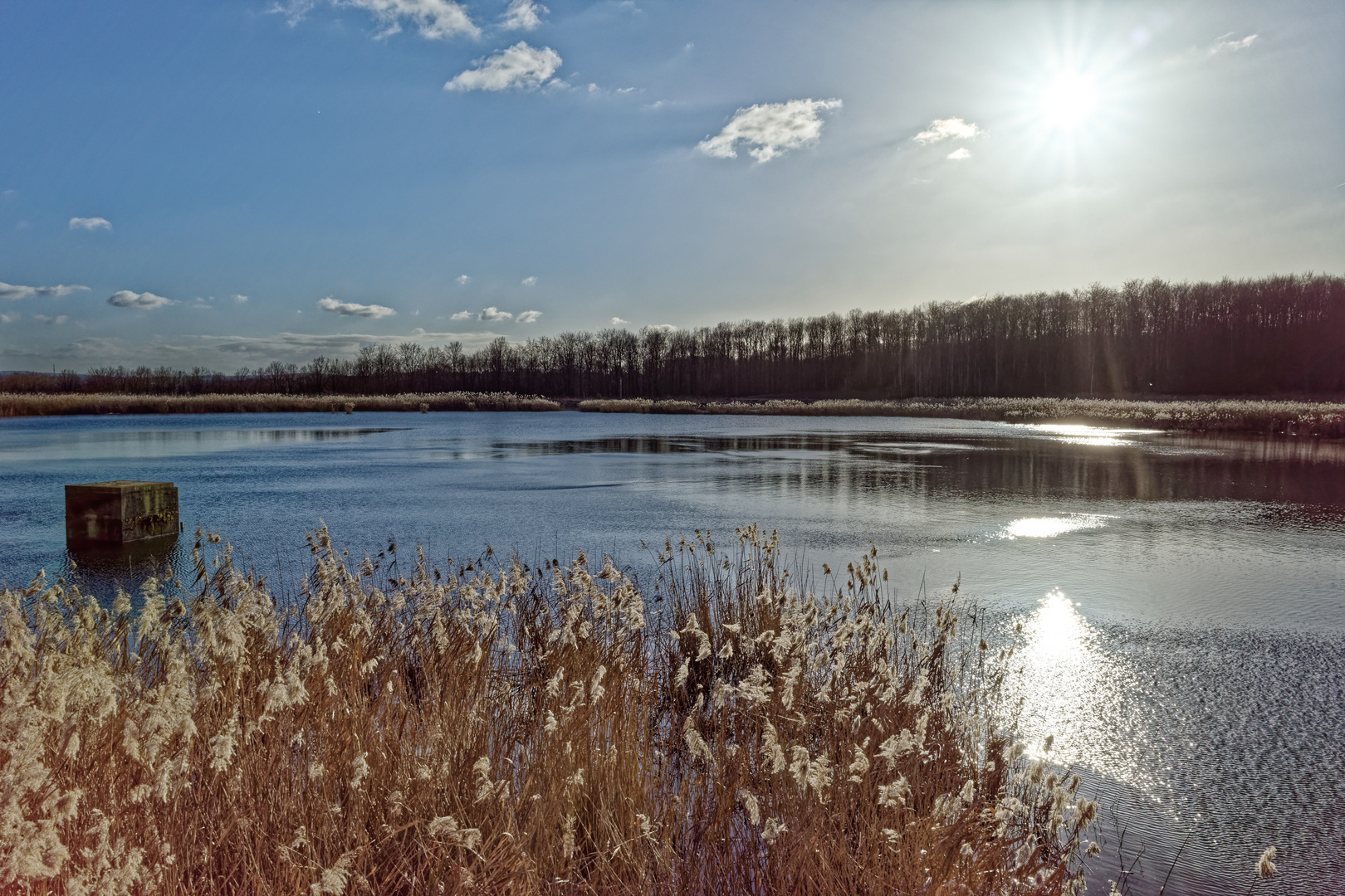 Haldenmotive, hier: Kohlbachweiher auf der Bergehalde Göttelborn (Saarland)