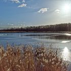 Haldenmotive, hier: Kohlbachweiher auf der Bergehalde Göttelborn (Saarland)