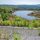 Haldenmotive, hier: Kohlbachweiher auf der Bergehalde Göttelborn (Saarland) im Frühlingsgrün