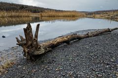 Haldenmotive, hier: Kohlbachweiher auf der Bergehalde Göttelborn/Saar