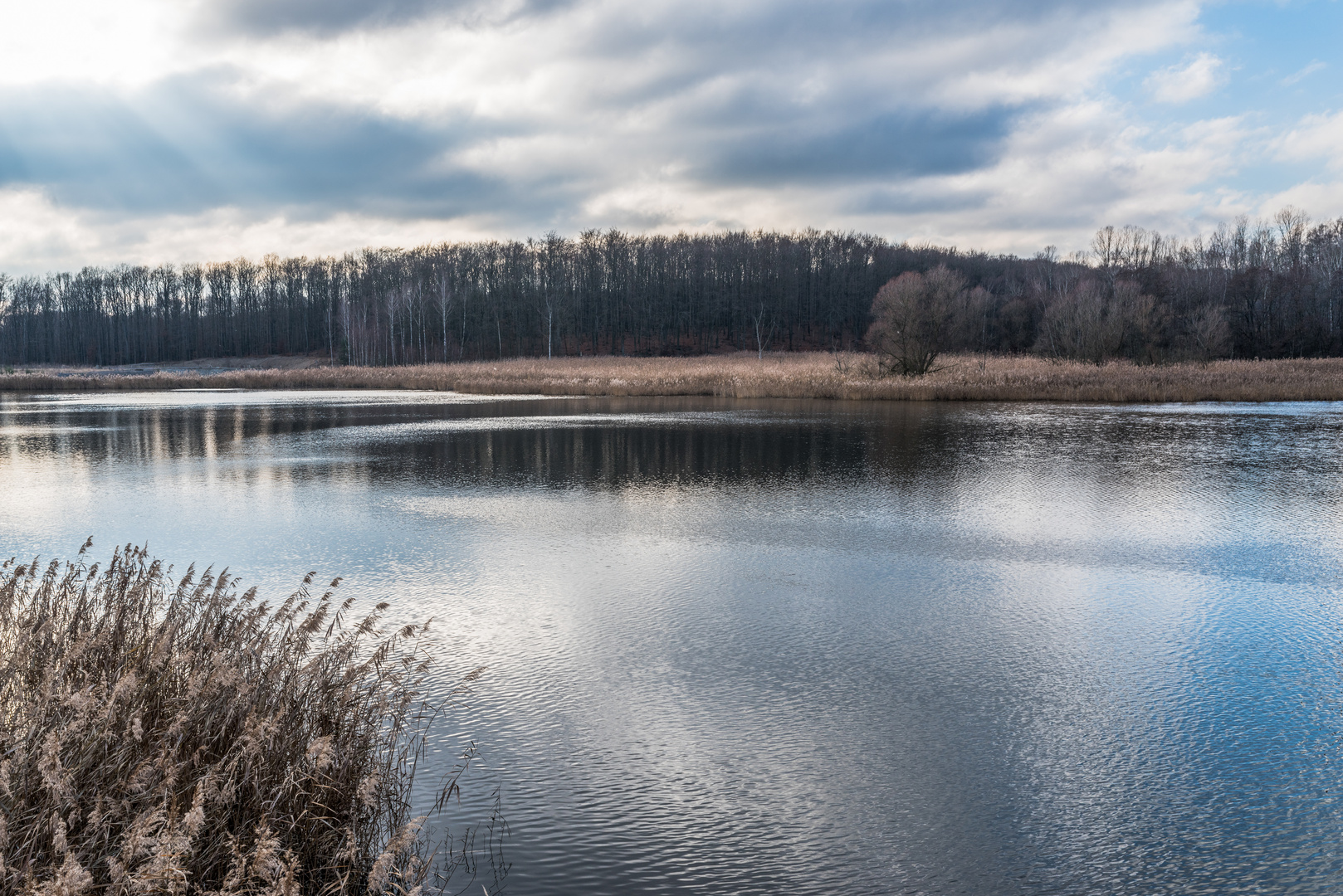 Haldenmotive, hier: Kohlbachweiher auf der Halde Göttelborn