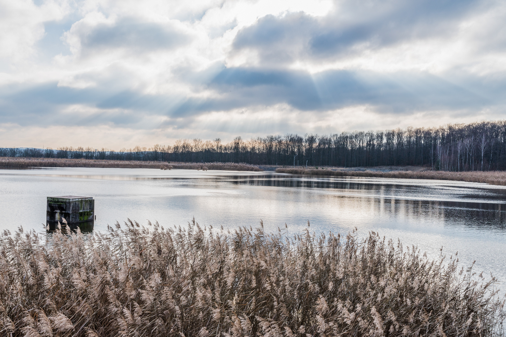 Haldenmotive, hier: Kohlbachweiher auf der Halde Göttelborn