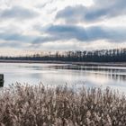 Haldenmotive, hier: Kohlbachweiher auf der Halde Göttelborn