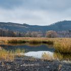 Haldenmotive, hier: Kohlbachweiher auf der Halde Göttelborn