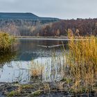 Haldenmotive, hier: Kohlbachweiher auf der Halde Göttelborn