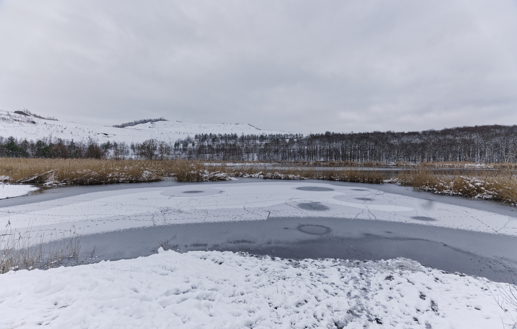 Haldenmotive, hier: Kohlbachweiher auf der Halde Göttelborn (Saarland) (3) 