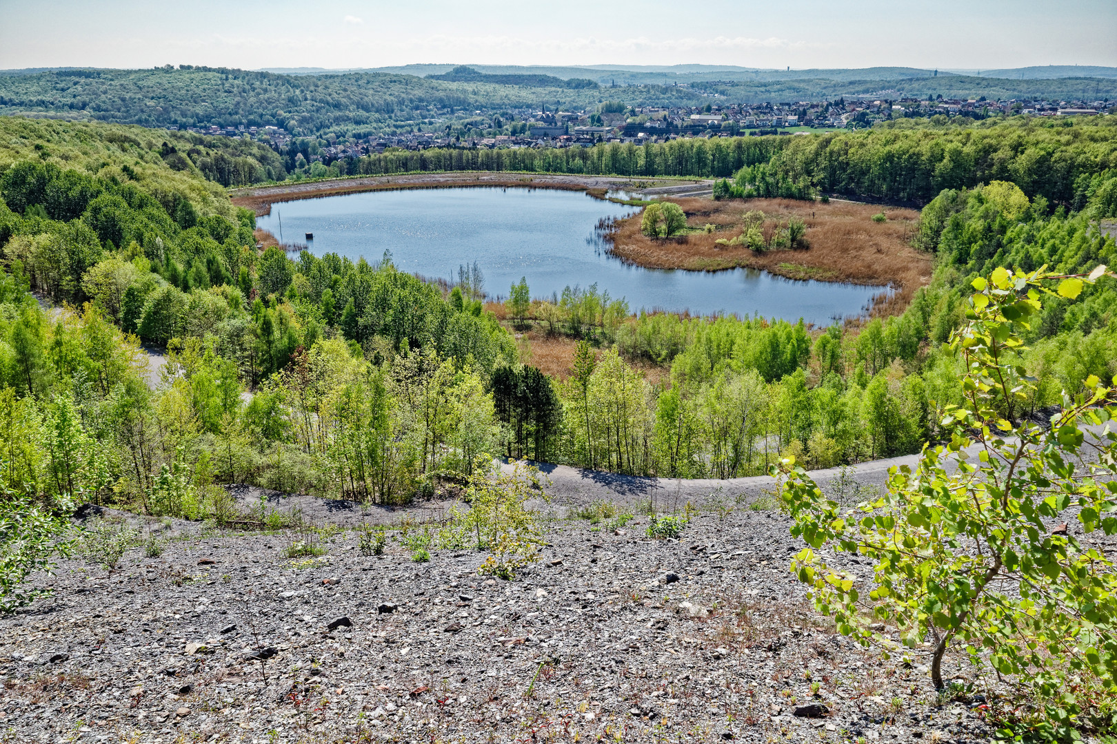 Haldenmotive, hier: Kohlbachweiher auf der Halde Göttelborn (Saarland) im Frühling