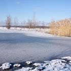 Haldenmotive, hier: Lebensräume auf dem Plateau der Halde Lydia Camphausen (Saarland)