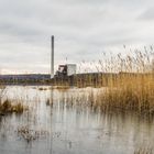 Haldenmotive, hier: Lebensräume auf der Bergehalde Göttelborn/Saar