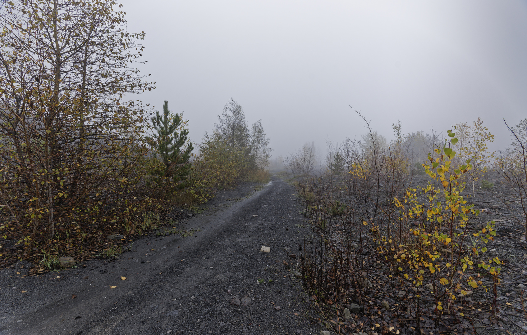 Haldenmotive, hier: Nebel auf der Halde Göttelborn (2)