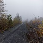 Haldenmotive, hier: Nebel auf der Halde Göttelborn (2)