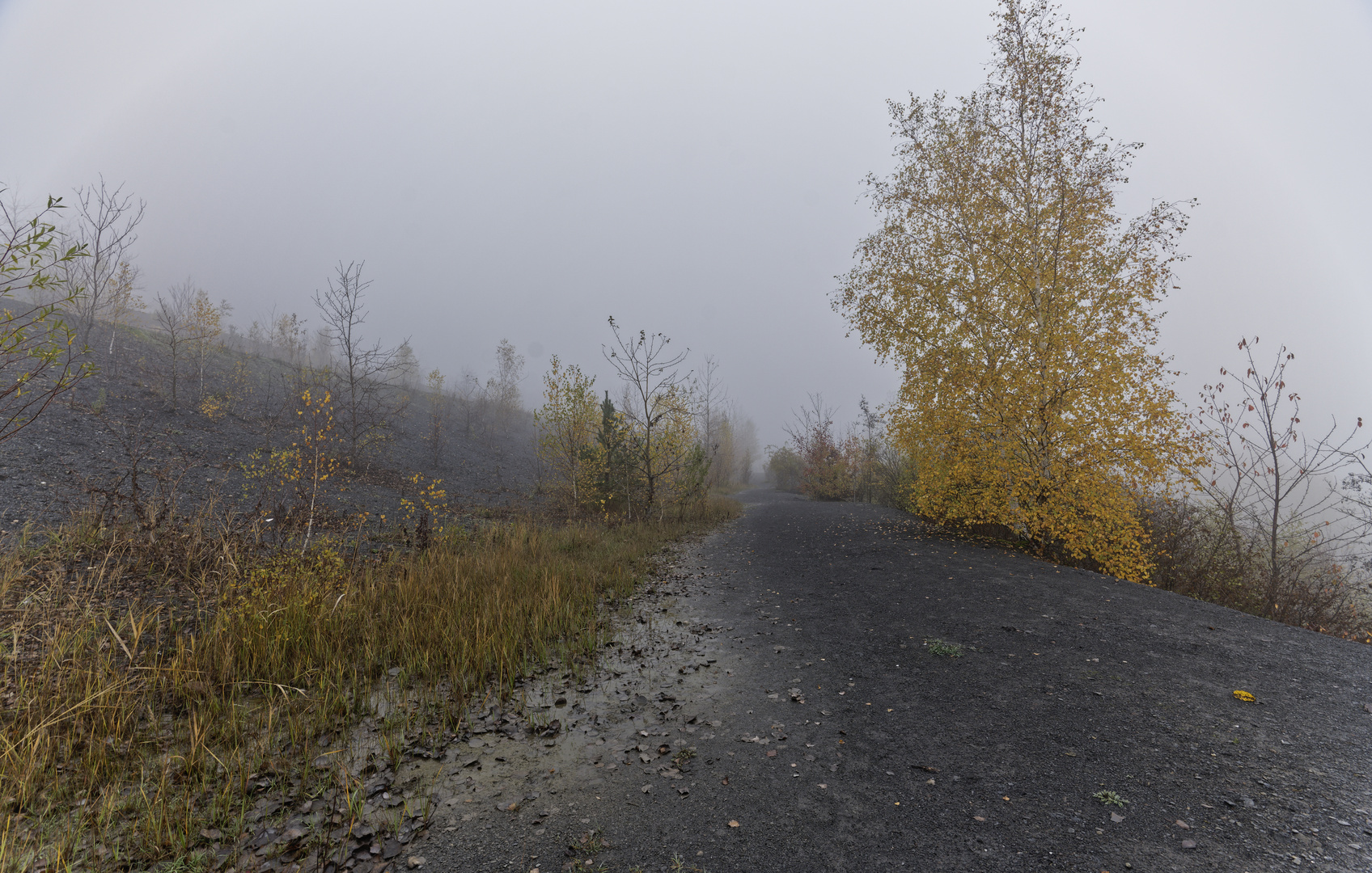 Haldenmotive, hier: Nebel auf der Halde Göttelborn (3)