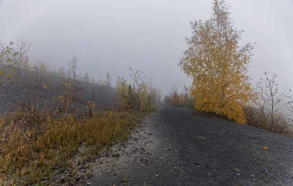 Haldenmotive, hier: Nebel auf der Halde Göttelborn (3)