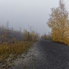 Haldenmotive, hier: Nebel auf der Halde Göttelborn (3)